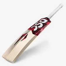 DSC Cricket Bat English Willow Intense Assault S-3